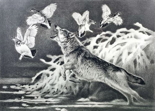 ドローイング オオカミ 原画 絵画 鉛筆画 アート作品 イラスト 一点物 
