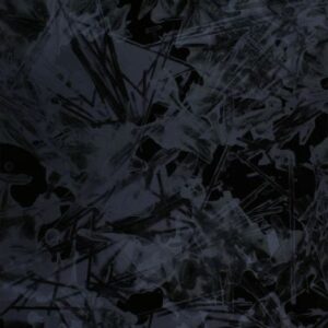 名和晃平-Element-Black1-rotated