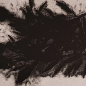 ドナルド・サルタン「 Black roses」の買取作品画像