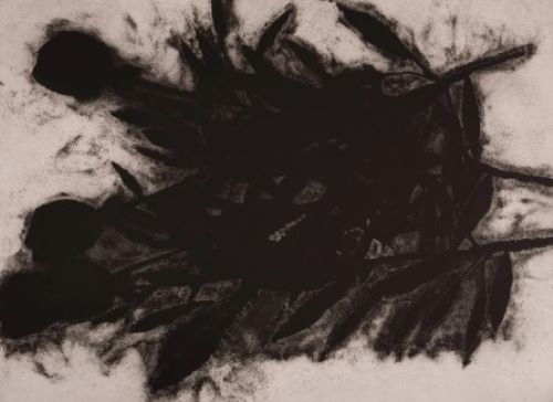 ドナルド・サルタン「 Black roses」の買取作品画像