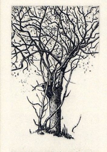 駒井哲郎「樹」の作品買取画像