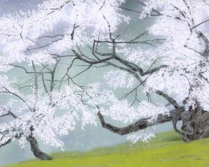 中島千波「臥龍桜」の買取作品画像