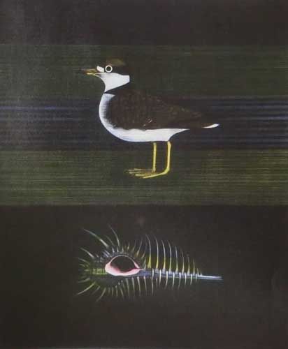 加山又造「ほね貝と千鳥」の作品買取画像